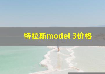 特拉斯model 3价格